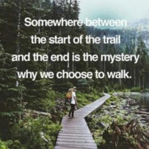 Vintage Barnum Bailey Tin VNUC - Picture 15 of 16